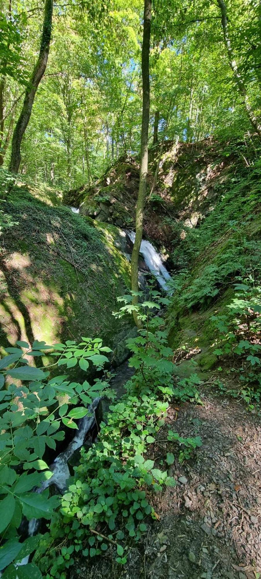 Fewo Zur Alten Tischlerei Herzberg am Harz Kültér fotó