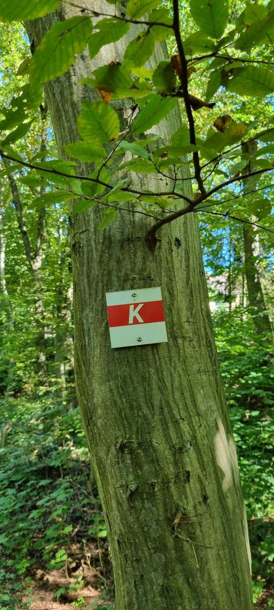 Fewo Zur Alten Tischlerei Herzberg am Harz Kültér fotó