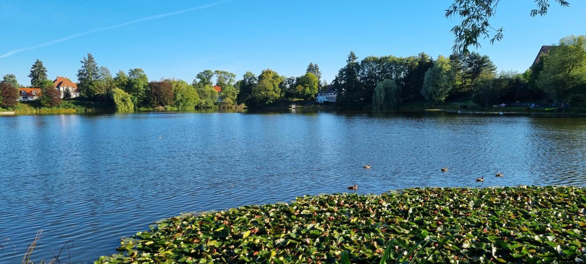 Fewo Zur Alten Tischlerei Herzberg am Harz Kültér fotó